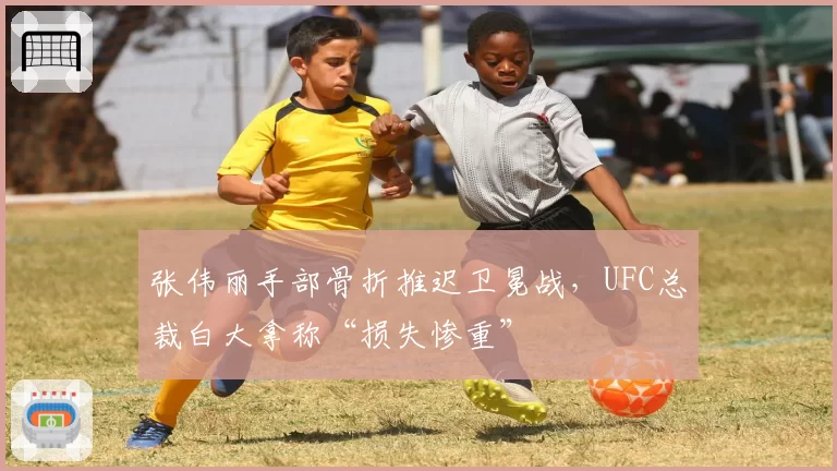 张伟丽手部骨折推迟卫冕战，UFC总裁白大拿称“损失惨重”